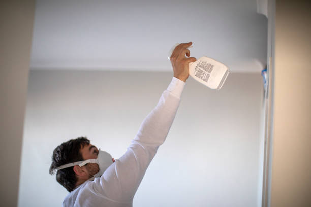 Best Mold Damage Repair  in Bridgewater Center, NJ