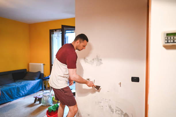 Best Same-Day Mold Removal  in Bridgewater Center, NJ